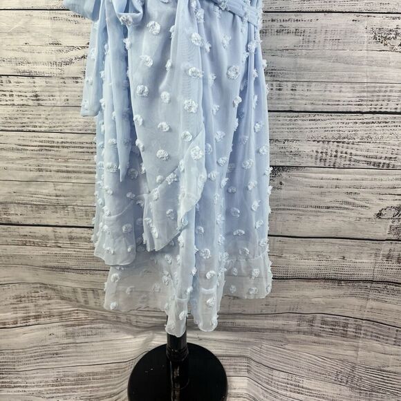 Plushe Dress Plus sz 4XL Light Blue Sheer Swiss Dots Knee A Line Wedding Church - Picture 13 of 15